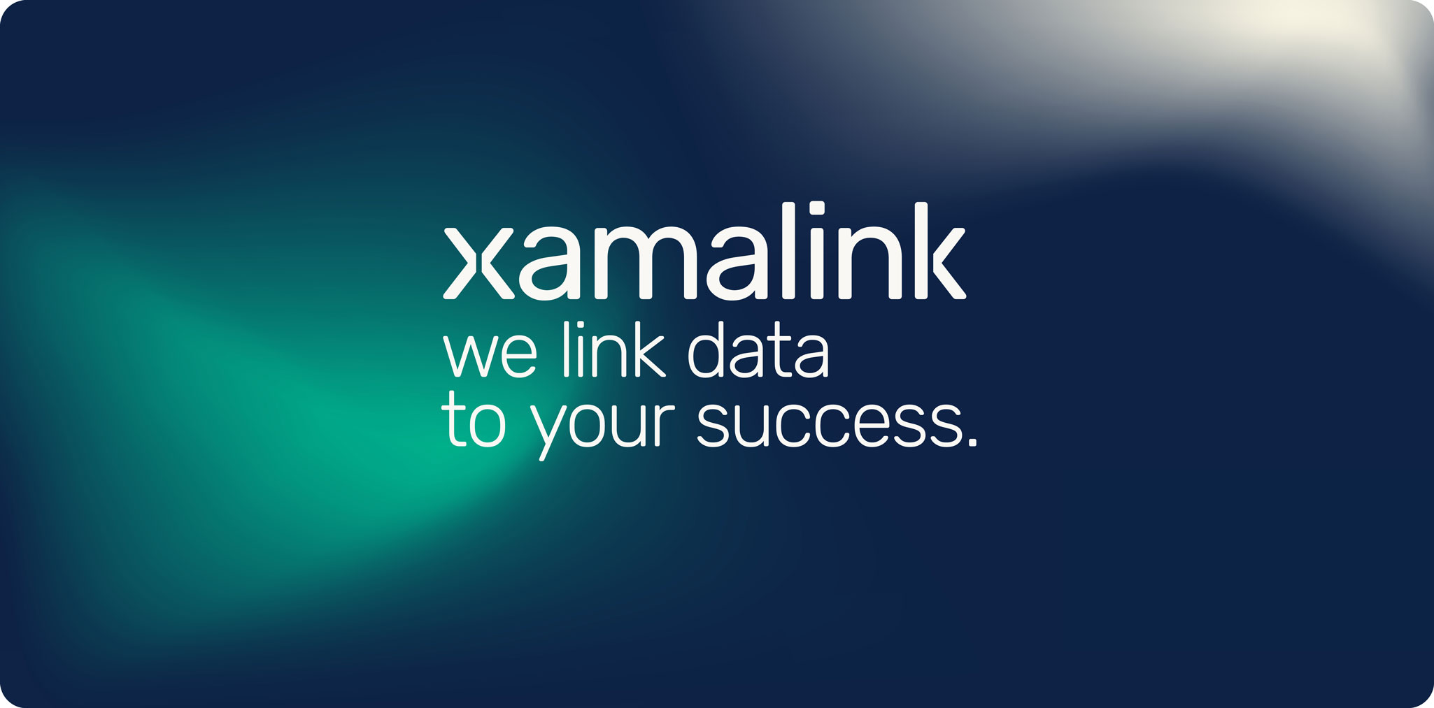 we link data to your success
